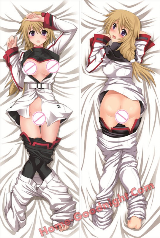 Infinite Stratos - Charlotte Dunois Long anime japenese love pillow cover